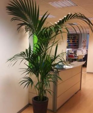 FOTO_INTERNO
